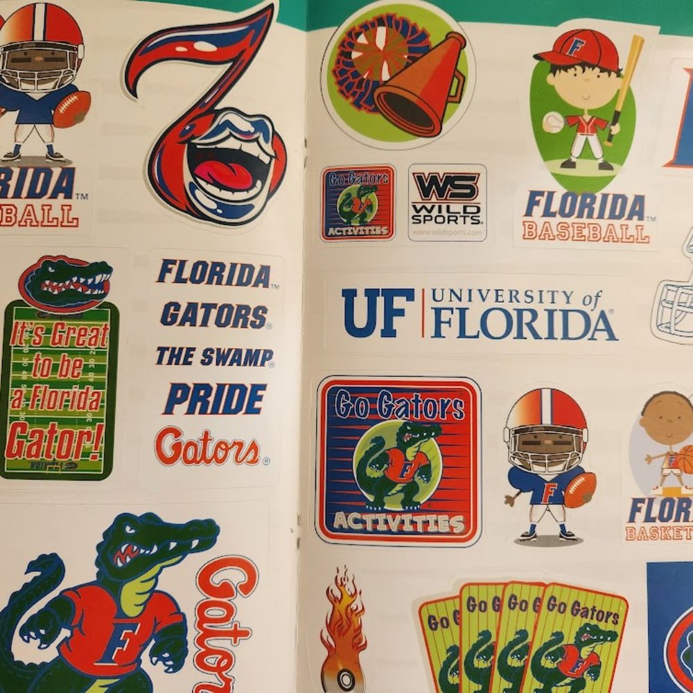 Go Gators Activity Book and App by Darla Hall paperback